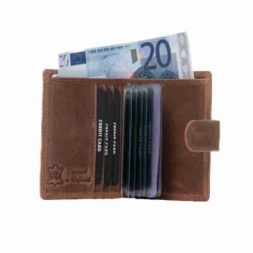 pasjeshouder muntgeldvak papiergeld leer